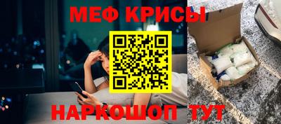 СК Бердск