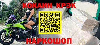СК Бердск