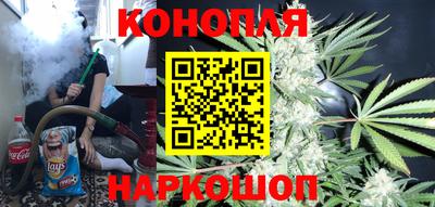СК Бердск