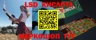 СК Бердск