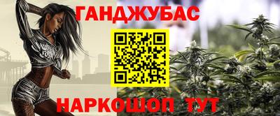 СК Бердск