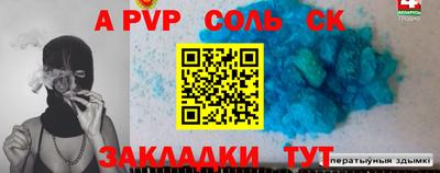 СК Бердск