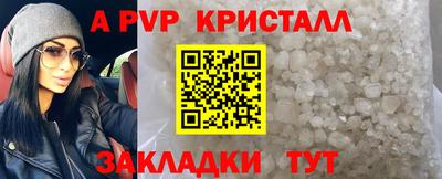 СК Бердск