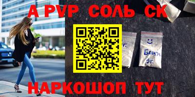 СК Бердск