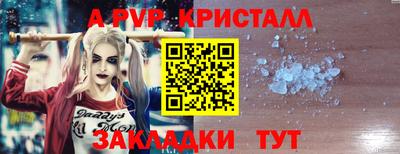 СК Бердск