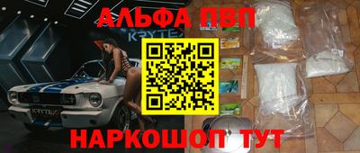 СК Бердск