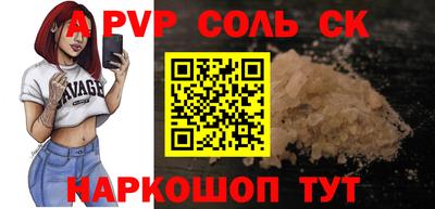 СК Бердск