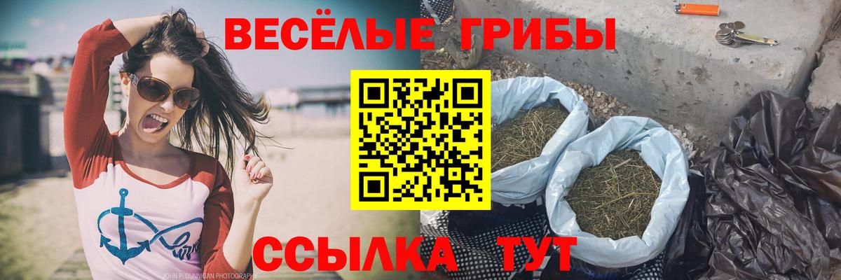 Псилоцибиновые грибы мицелий Гудермес